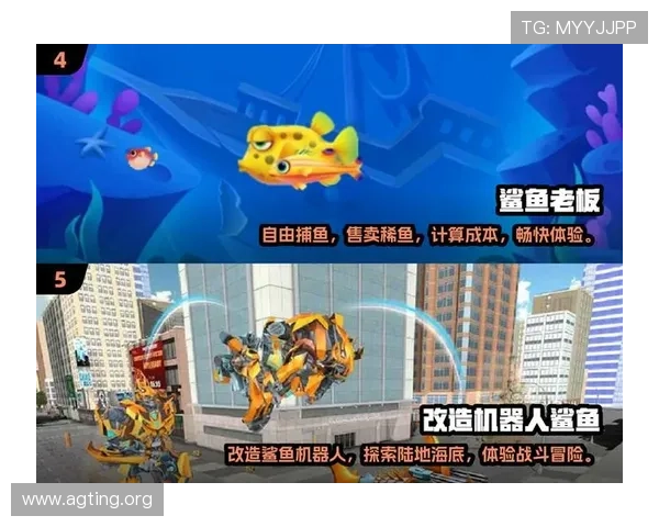 确保AG捕鱼会员登录安全性建议以及常见问题解决方案